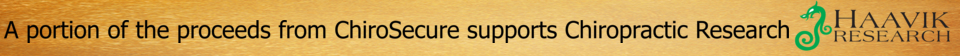 chiro Secure Haavik